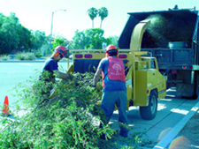 safe cleanup service