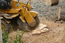 Integrity Tree Service