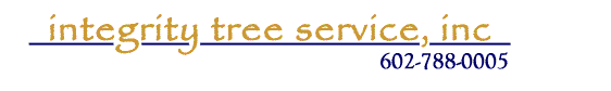 Intergrity Tree Service